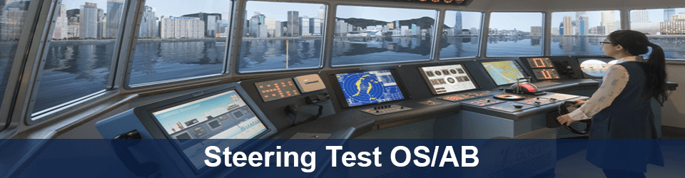 Steering-Test-(OS/AB)