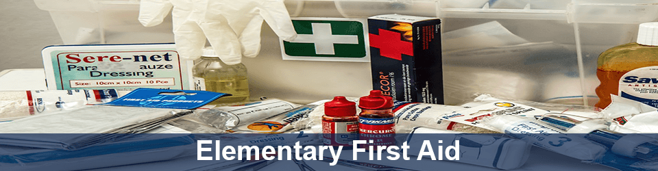 Elementary First Aid